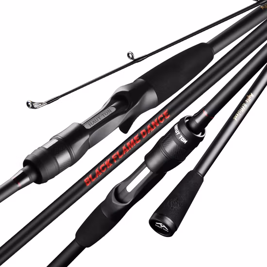 Canna da spinning FUJI Guide 30t Carbon Cloth con azione medio-rapida